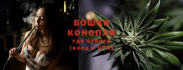 МДПВ Верхний Тагил
