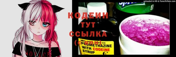 spice Бородино