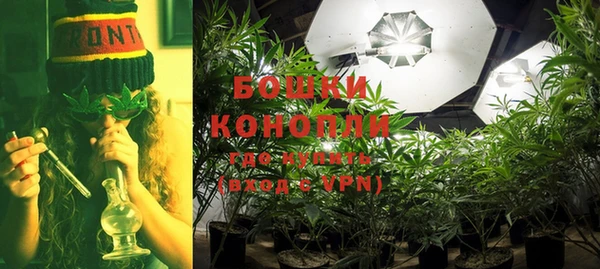 spice Бородино