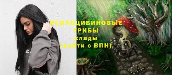 МДПВ Верхний Тагил
