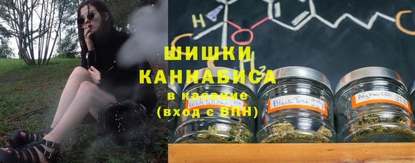 spice Бородино