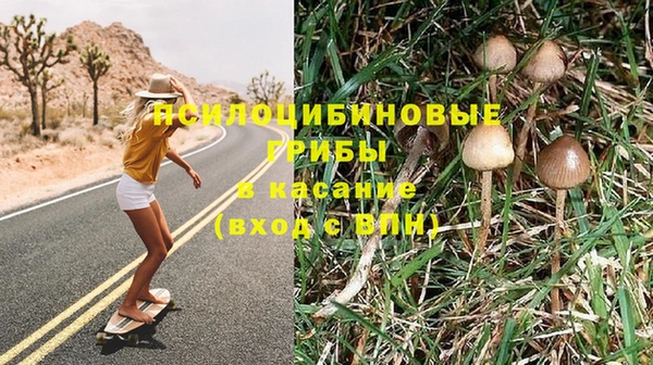 PSILOCYBIN Верхнеуральск