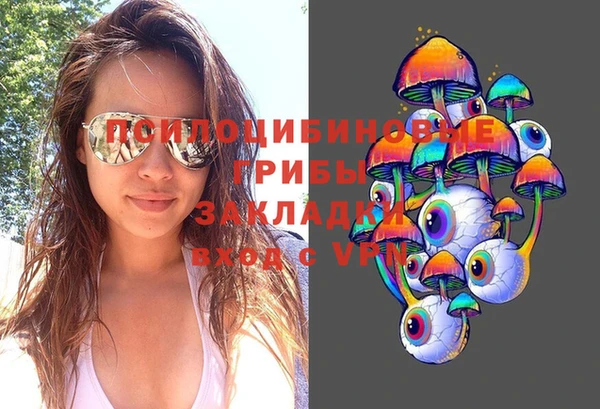 PSILOCYBIN Верхнеуральск