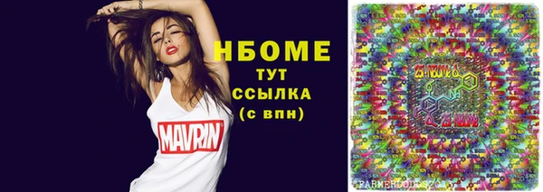 spice Бородино