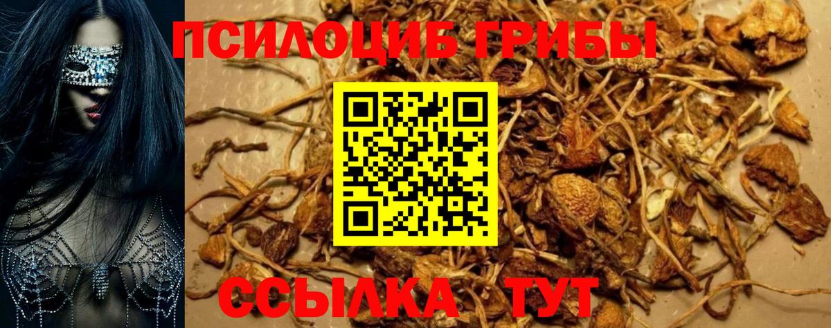 Псилоцибиновые грибы MAGIC MUSHROOMS Бузулук