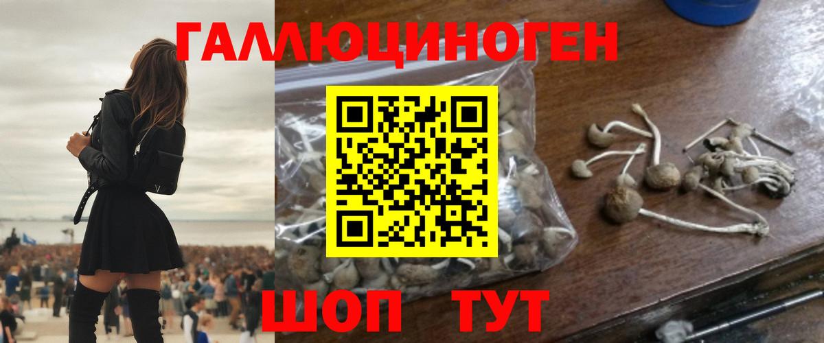 Псилоцибиновые грибы Cubensis Бузулук